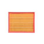 SCT Luftfilter SB2166