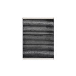 SCT Innenraumfilter SAK144