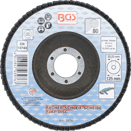 BGS Fächer-Schleif-Scheibe | Ø 125 mm | K 80