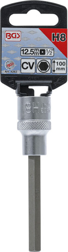 BGS Bit-Einsatz | Länge 100 mm | Antrieb Innenvierkant 12,5 mm (1/2