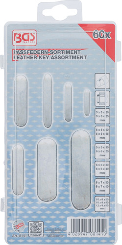 BGS Passfedern-Sortiment | 60-tlg.