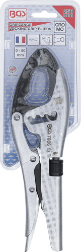 BGS Gripzange | 4-fache Schnelljustierung | schwenkbare Backenenden | französischer Typ | 250 mm