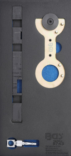 BGS Werkstattwageneinlage 1/3: Doppelvanos-Einstellwerkzeug-Satz für BMW M52TU / M54 / M56