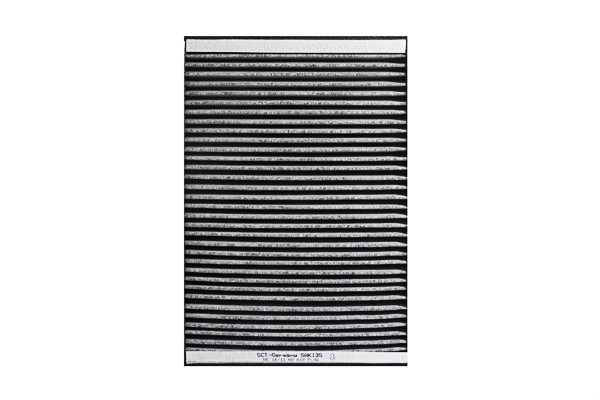 SCT Innenraumfilter SAK135