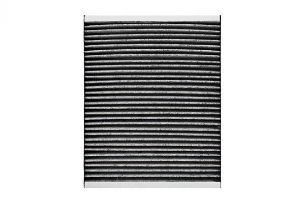 SCT Innenraumfilter SAK165