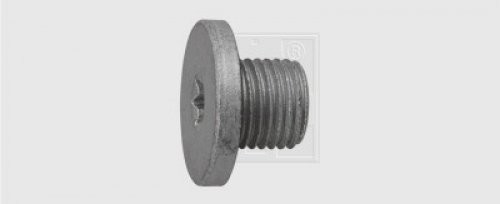 Ölablassschraube M14 x 1,5 x 10,5 mit Dichtring, Stahl 1Stk.